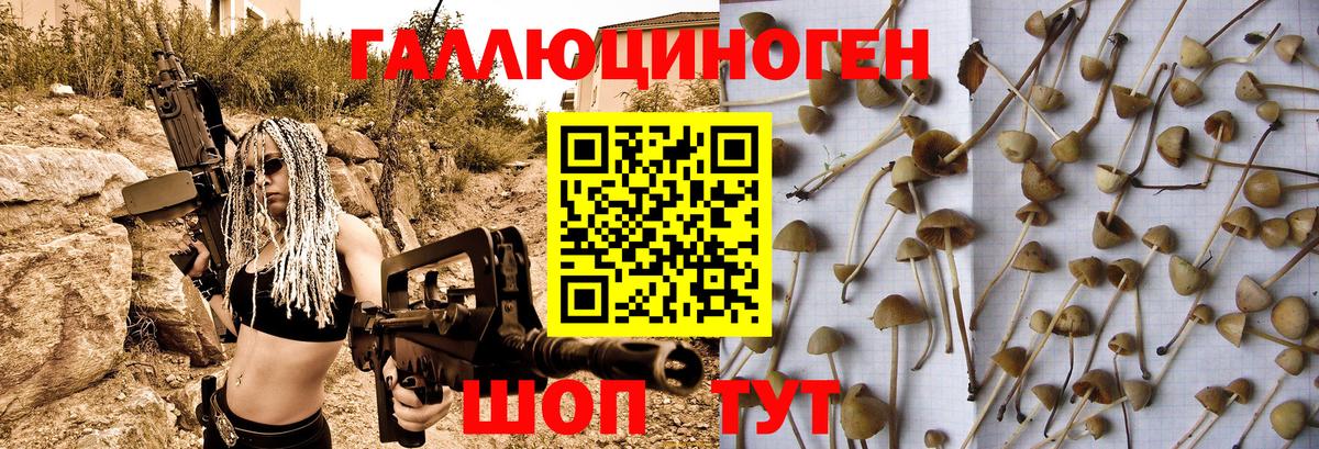 магазин продажи наркотиков  Галлюциногенные грибы Psilocybe  Вход с VPN  Кохма  Псилоцибиновые грибы мицелий 