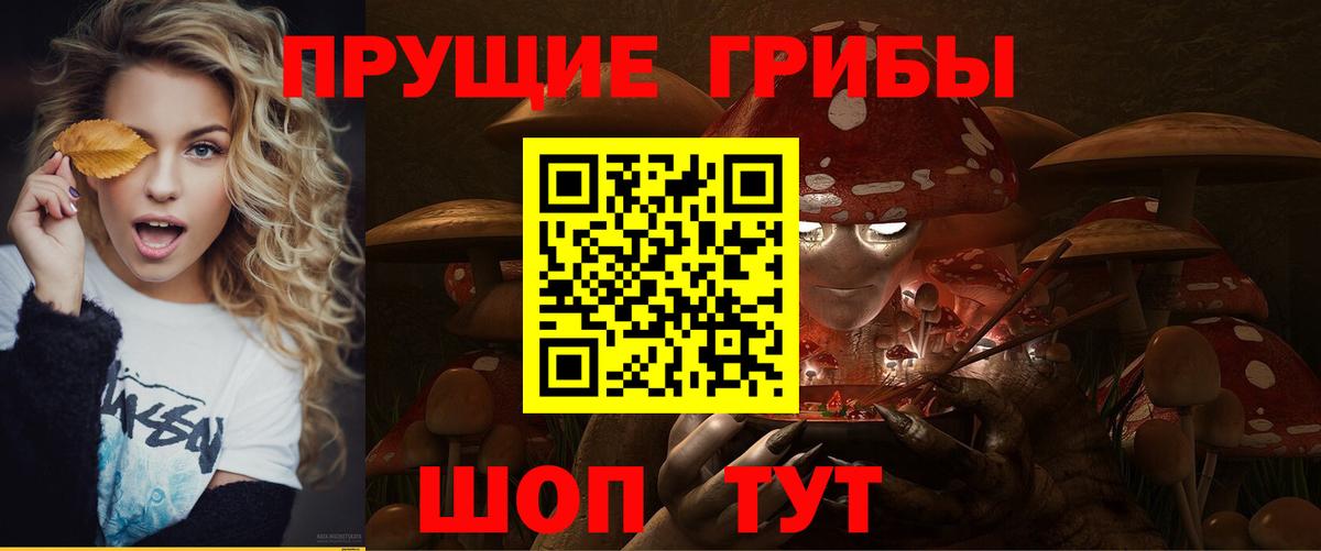Псилоцибиновые грибы мухоморы Кохма